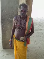 devotie devotie