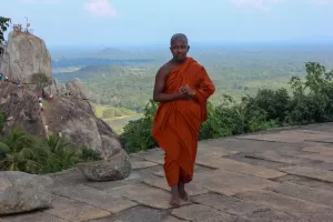 devotie devotie