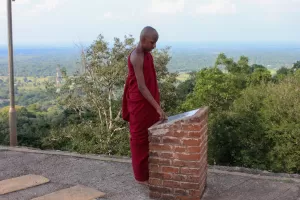 devotie devotie