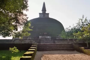 devotie devotie