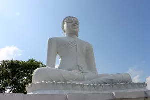 devotie devotie