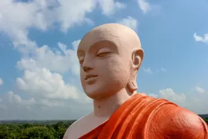 devotie devotie