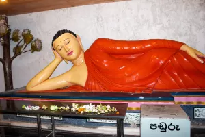 devotie devotie