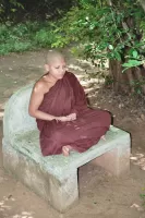 devotie devotie