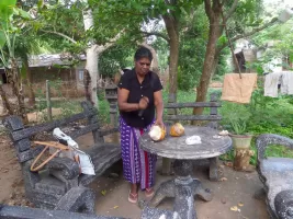 biorijstproject biorijstproject
