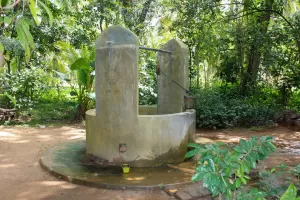 biorijstproject biorijstproject